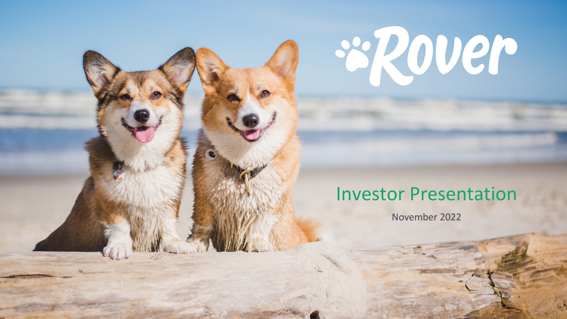 Rover — Cover Slide investment banking deck slide