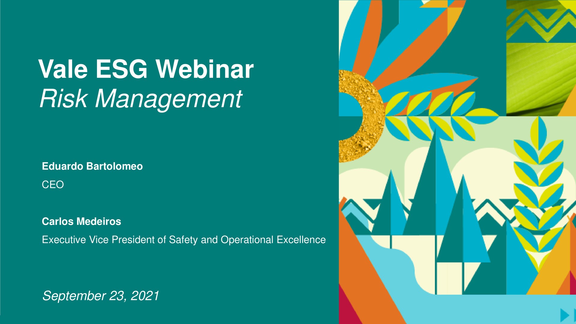 Vale — Vale ESG Webinar Risk Management investment banking deck slide